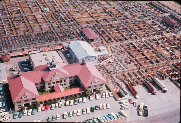 Stockyards from the air in the 1970's 