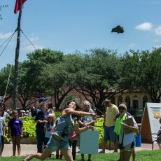  Cow Chip Throwing Contest