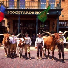 Stockyards Hotel