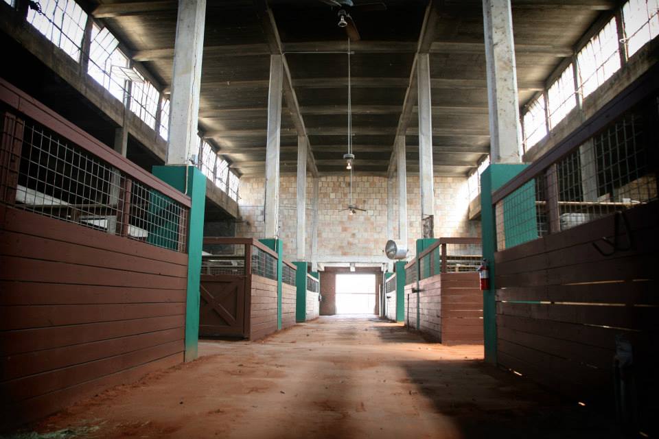 Fort Worth Stockyards Stables