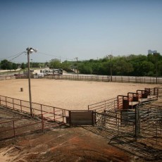 Fort Worth Stockyards Stables