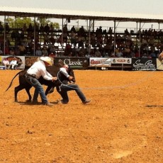 Windy Ryon Memorial Roping