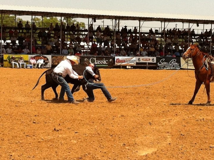 Windy Ryon Memorial Roping