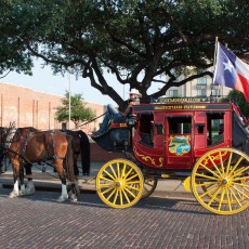 Fort Worth Stockyards Stables