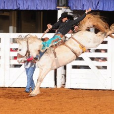 Saddle Bronc Riding has long been referred to as  The Classic Event of Rodeo.