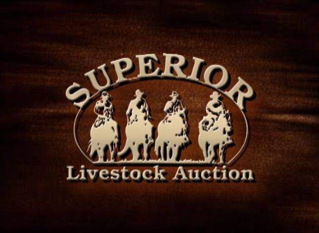 Superior Livestock Superior Productions