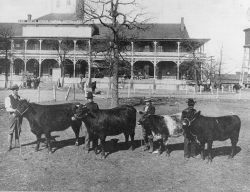Original Stock Exchange Building circa 1901.   