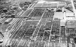 Stockyards 1949   